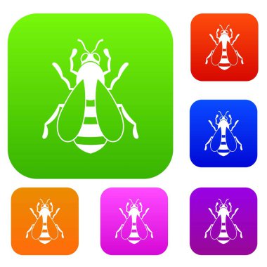 Arı koleksiyonu ayarla