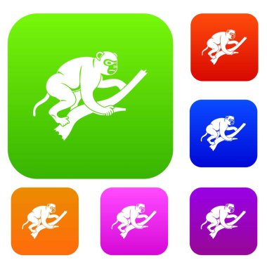 Maymun ağacı set renk koleksiyonu üzerinde yukarı tırmanıyor