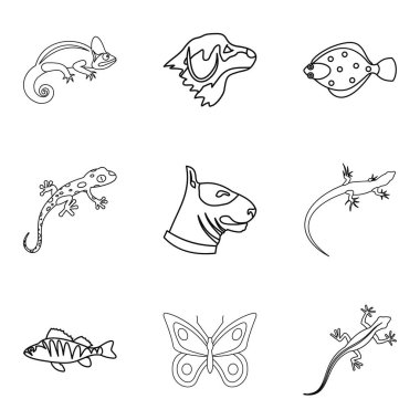 Bukalemun Icons set, anahat stili