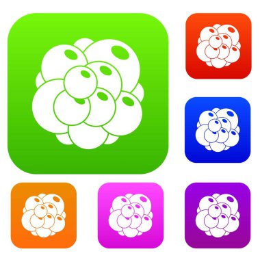 Yumurtalık koleksiyonu ayarla