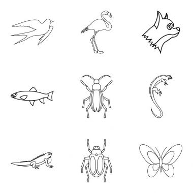 Güve Icons set, anahat stili