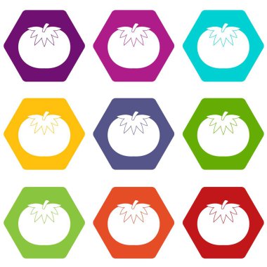 Renk altı yüzlü domates Icon set