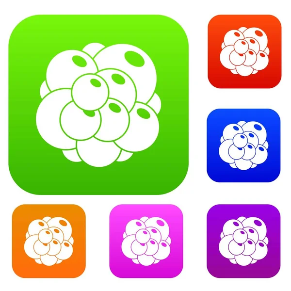 Yumurtalık koleksiyonu ayarla