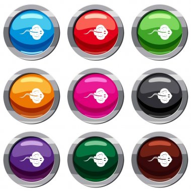 Stingray balık 9 koleksiyonu ayarla