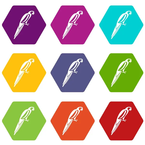 Renk altı yüzlü papağan Icon set