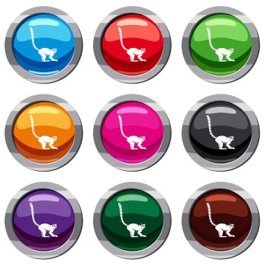 Lemur maymun 9 koleksiyonu ayarla