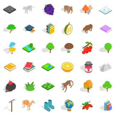 Kirpi Icons set, izometrik stili