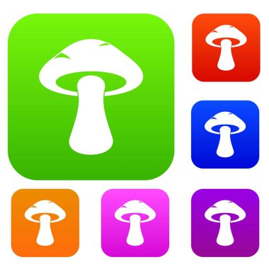 Borulu mantar renk koleksiyonu ayarla