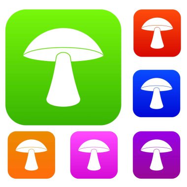 Huş mantar renk koleksiyonu ayarla