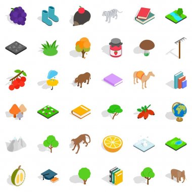 Kuş Icons set, izometrik stili