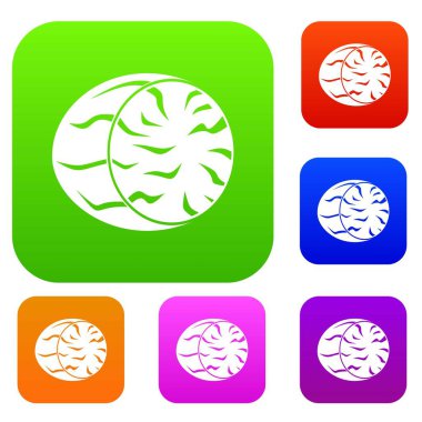 Küçük Hindistan cevizi yarısı renk koleksiyonu ayarla