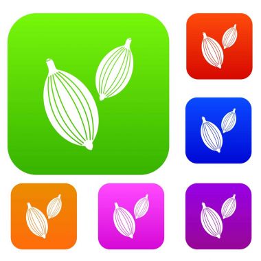 Kakule bakla renk koleksiyonu ayarla