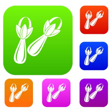 Baharat karanfil set renk koleksiyonu