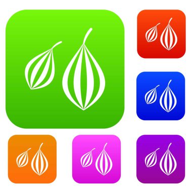 Trachyspermum annem renk koleksiyonu ayarla