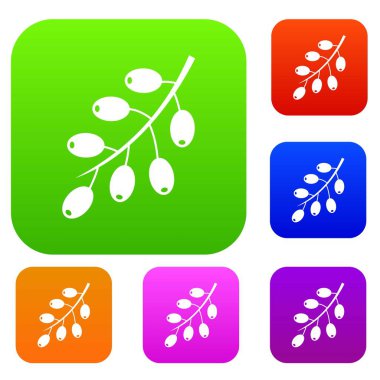 Kızamık şube renk koleksiyonu ayarla