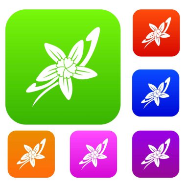 Vanilya bir çiçek set renk koleksiyonu ile sopa