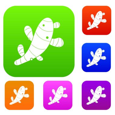 Zencefil renk koleksiyonu ayarla