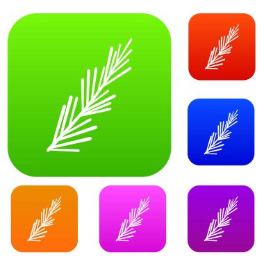 Biberiye baharat renk koleksiyonu ayarla