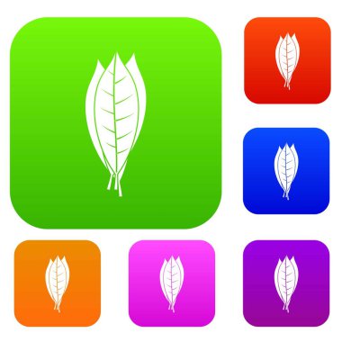 Mutfak defne yaprakları renk koleksiyonu ayarla