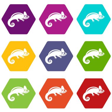 Renk altı yüzlü bukalemun Icon set