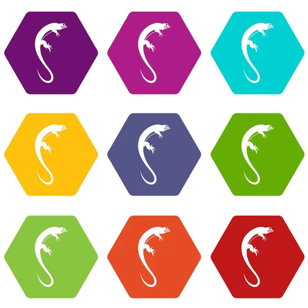 Lagarto icono conjunto hexaedro de color — Vector de stock