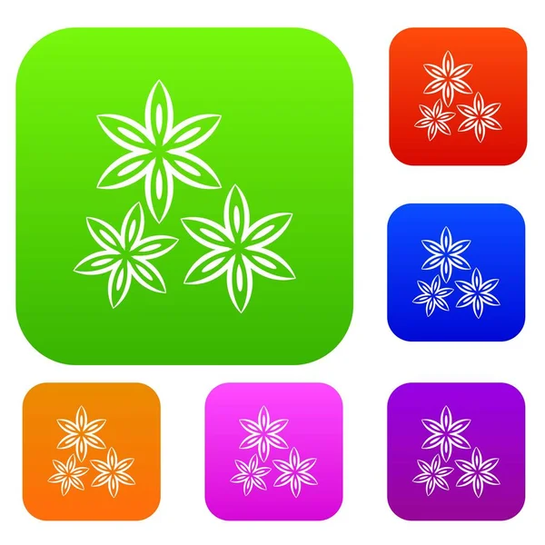 Yıldız anason renk koleksiyonu ayarla