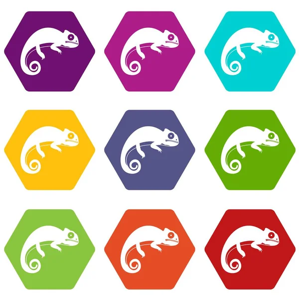 Renk altı yüzlü bukalemun Icon set