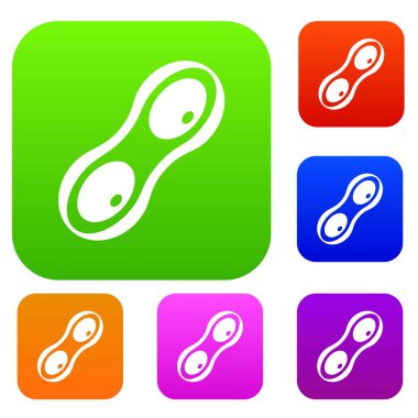 Fıstık kabukları renk koleksiyonu ayarla