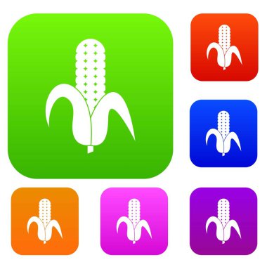 Mısır koçanı renk koleksiyonu ayarla