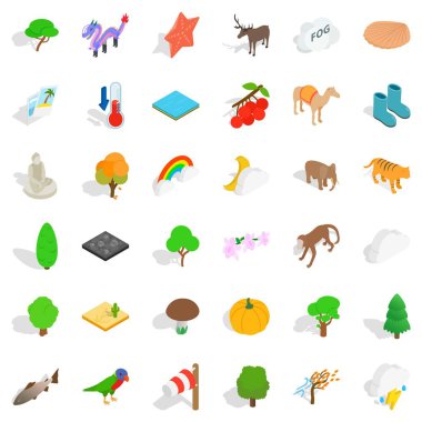 Rezervasyon Icons set, izometrik stili