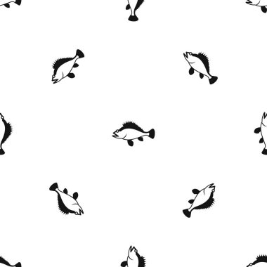 Gül balık, Sebastes norvegicus sorunsuz siyah desen.