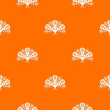 Akan kuyruk desenle sorunsuz peacock