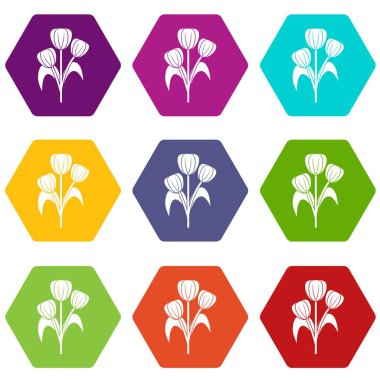 Renk altı yüzlü çiçek Icon set