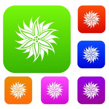 Çiçek renk koleksiyonu ayarla