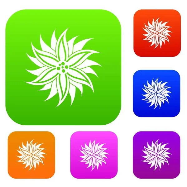 Çiçek renk koleksiyonu ayarla