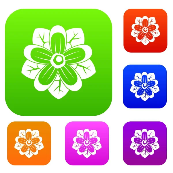 Çiçek renk koleksiyonu ayarla