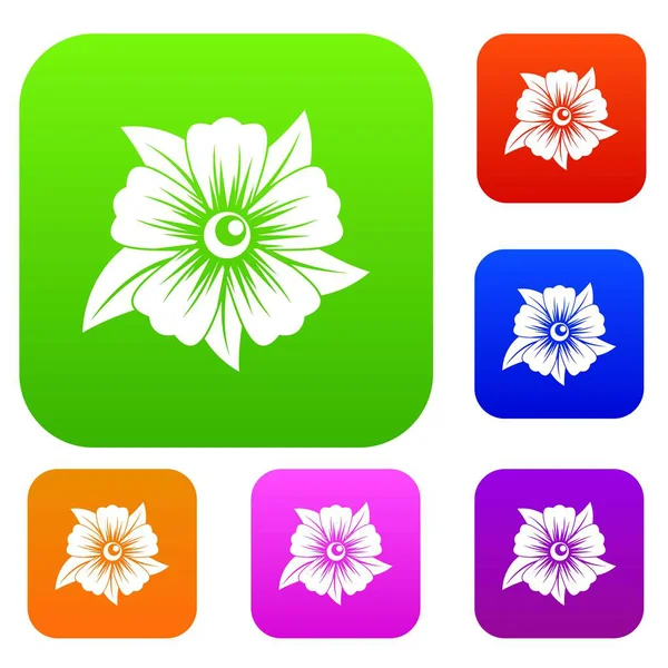 Çiçek renk koleksiyonu ayarla