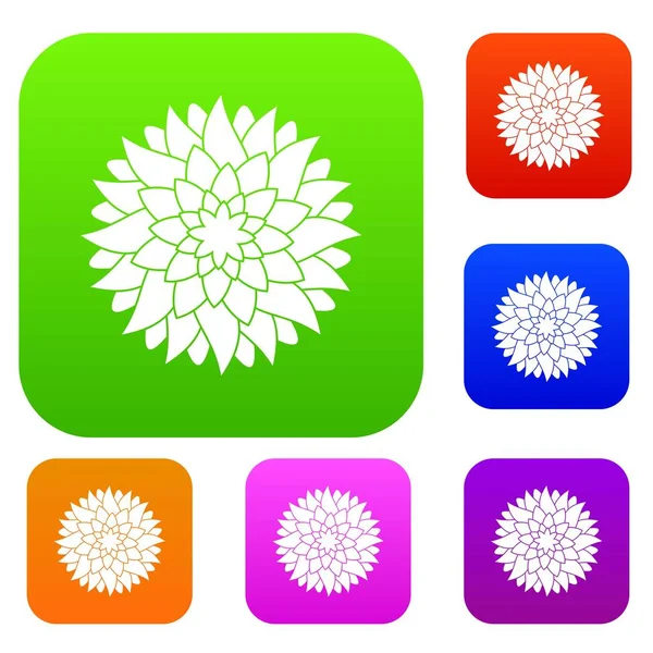 Çiçek renk koleksiyonu ayarla