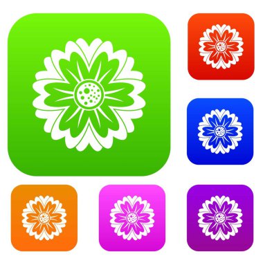 Çiçek renk koleksiyonu ayarla