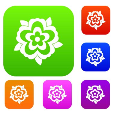 Çiçek renk koleksiyonu ayarla