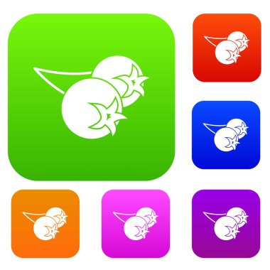 Chokeberry veya aronia berry set renk koleksiyonu