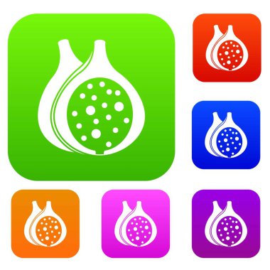 İncir meyve renk koleksiyonu ayarla