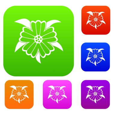 Çiçek renk koleksiyonu ayarla