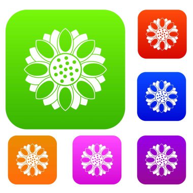 Çiçek renk koleksiyonu ayarla