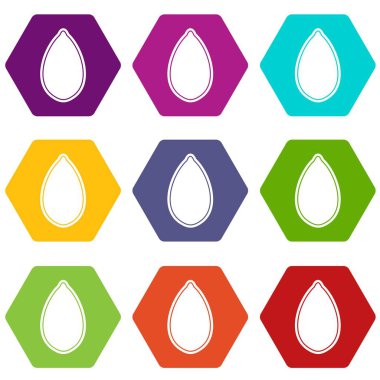 Renk altı yüzlü kabak çekirdeği Icon set