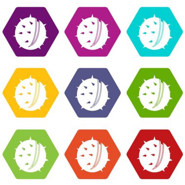 Renk altı yüzlü kestane Icon set