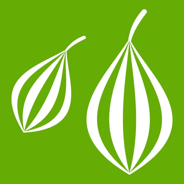 Ammi Trachyspermum zöld ikon — Stock Vector
