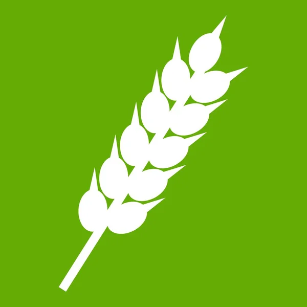 Getrocknete Weizenähre Symbol grün — Stockvektor
