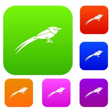 Asya cennet sinekkapan koleksiyonu ayarla