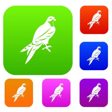 Şahin koleksiyonu ayarla